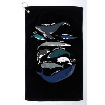 Types Of Whales Cute Ocean Mammals Guide Golf Towel