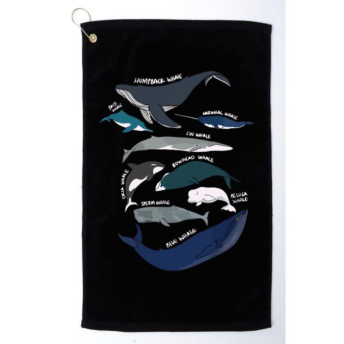 Types Of Whales Cute Ocean Mammals Guide Golf Towel