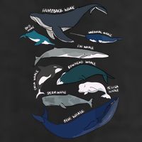 Types Of Whales Cute Ocean Mammals Guide Golf Towel