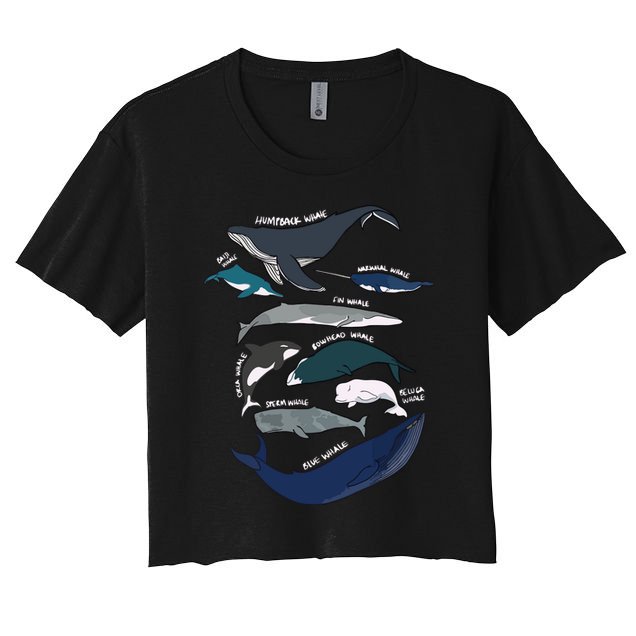 Types Of Whales Cute Ocean Mammals Guide Crop Top