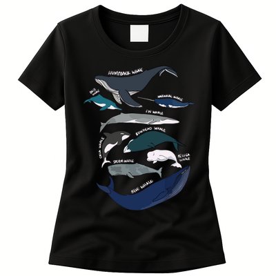 Types Of Whales Cute Ocean Mammals Guide Womens T-Shirt
