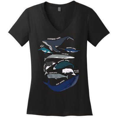 Types Of Whales Cute Ocean Mammals Guide Women's V-Neck T-Shirt