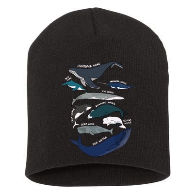 Types Of Whales Cute Ocean Mammals Guide Short Acrylic Beanie