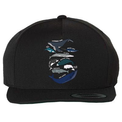 Types Of Whales Cute Ocean Mammals Guide Wool Snapback Cap