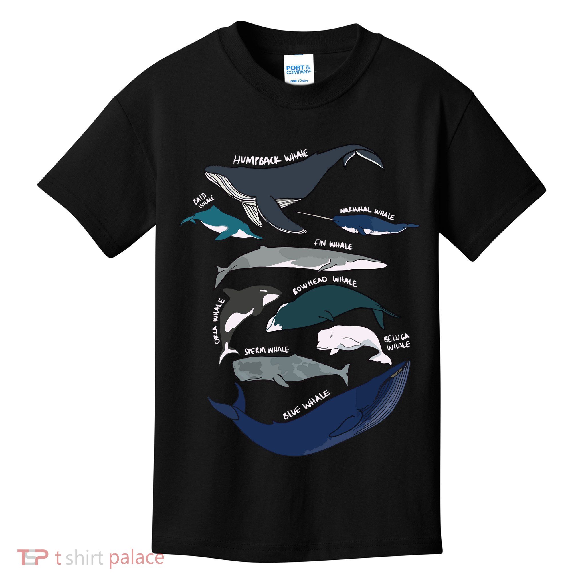 Types Of Whales Cute Ocean Mammals Guide Kids T-Shirt