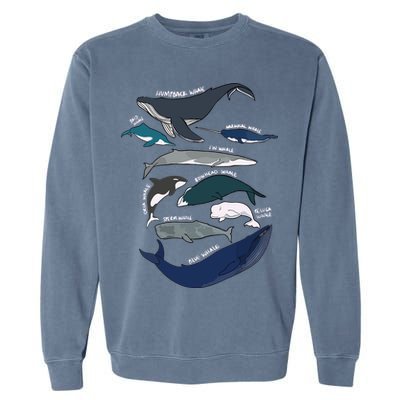 Types Of Whales Cute Ocean Mammals Guide Garment-Dyed Sweatshirt