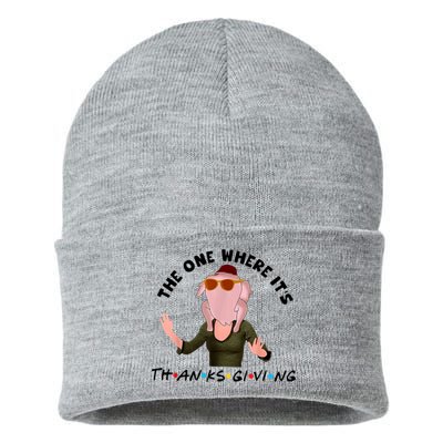 The One Where It's Thanksgiving Friends Monica Turkey Head Sustainable Knit Beanie