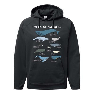 Types Of Whales Cute Ocean Mammals Guide Performance Fleece Hoodie