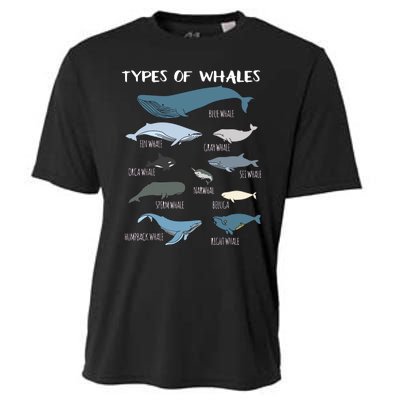 Types Of Whales Cute Ocean Mammals Guide Cooling Performance Crew T-Shirt