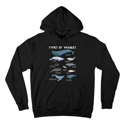 Types Of Whales Cute Ocean Mammals Guide Hoodie