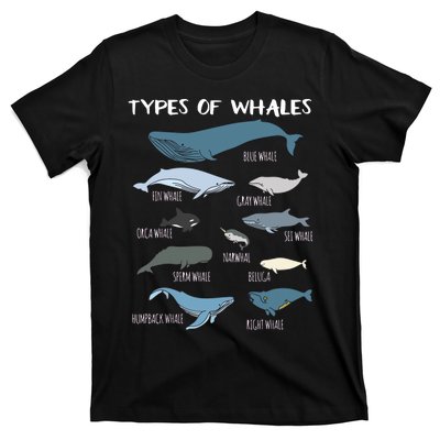 Types Of Whales Cute Ocean Mammals Guide T-Shirt