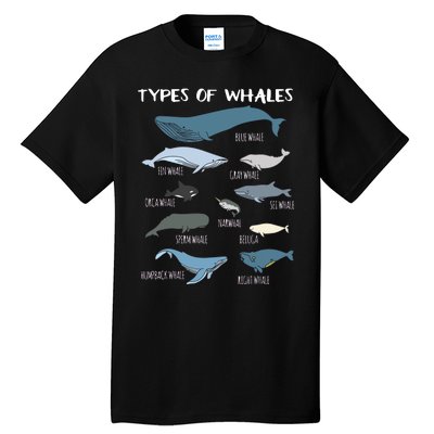 Types Of Whales Cute Ocean Mammals Guide Tall T-Shirt