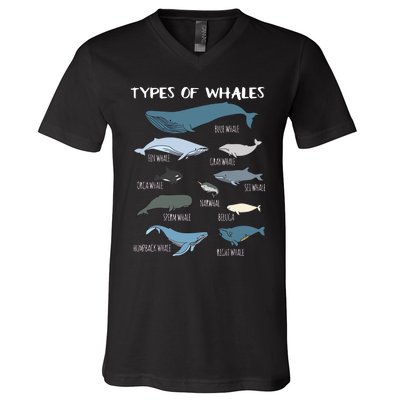 Types Of Whales Cute Ocean Mammals Guide V-Neck T-Shirt