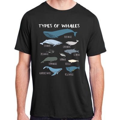 Types Of Whales Cute Ocean Mammals Guide Adult ChromaSoft Performance T-Shirt