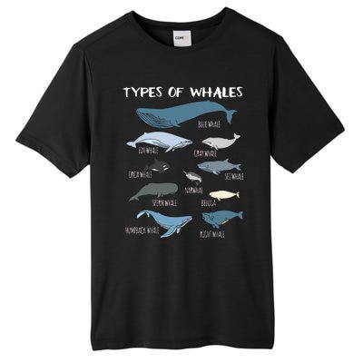 Types Of Whales Cute Ocean Mammals Guide Tall Fusion ChromaSoft Performance T-Shirt