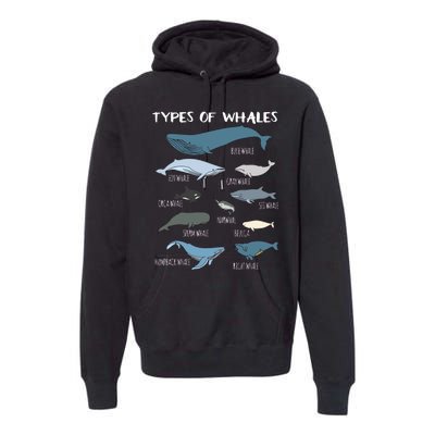 Types Of Whales Cute Ocean Mammals Guide Premium Hoodie