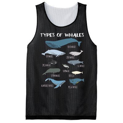 Types Of Whales Cute Ocean Mammals Guide Mesh Reversible Basketball Jersey Tank