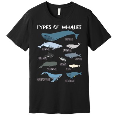 Types Of Whales Cute Ocean Mammals Guide Premium T-Shirt