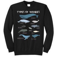 Types Of Whales Cute Ocean Mammals Guide Tall Sweatshirt