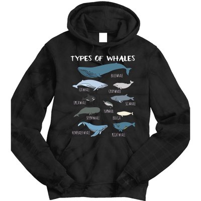 Types Of Whales Cute Ocean Mammals Guide Tie Dye Hoodie