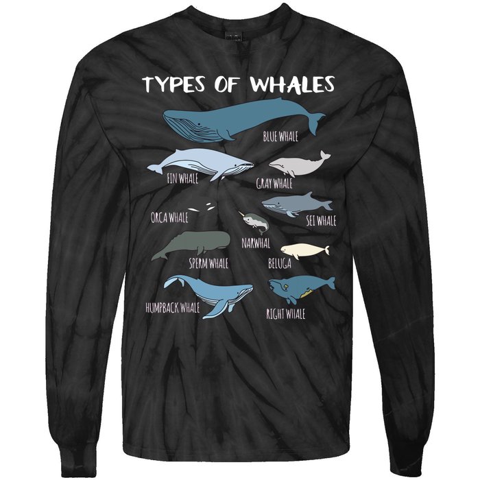 Types Of Whales Cute Ocean Mammals Guide Tie-Dye Long Sleeve Shirt