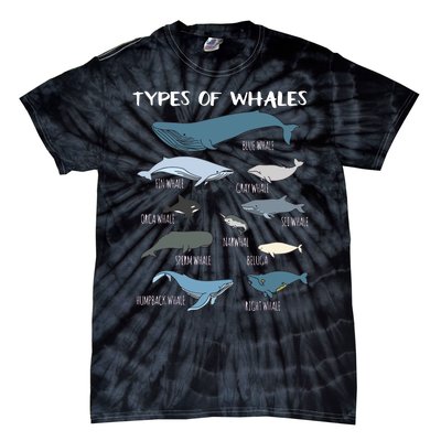 Types Of Whales Cute Ocean Mammals Guide Tie-Dye T-Shirt