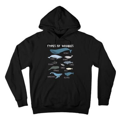 Types Of Whales Cute Ocean Mammals Guide Tall Hoodie