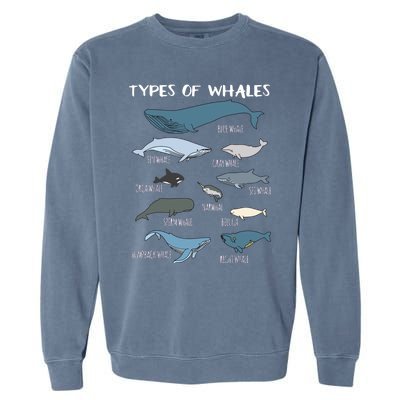 Types Of Whales Cute Ocean Mammals Guide Garment-Dyed Sweatshirt