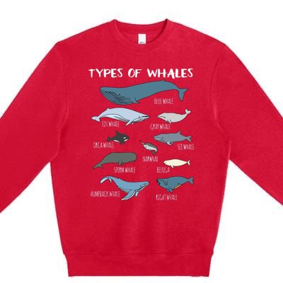 Types Of Whales Cute Ocean Mammals Guide Premium Crewneck Sweatshirt