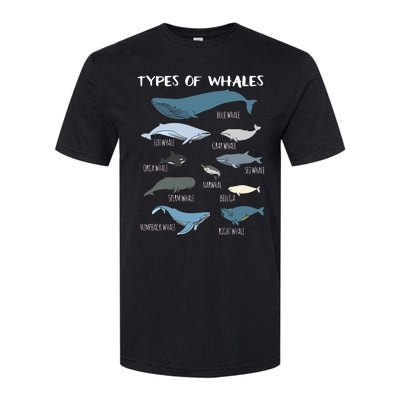 Types Of Whales Cute Ocean Mammals Guide Softstyle CVC T-Shirt