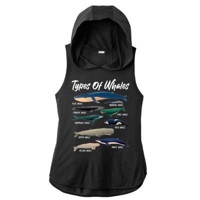 Types Of Whales Ladies PosiCharge Tri-Blend Wicking Draft Hoodie Tank