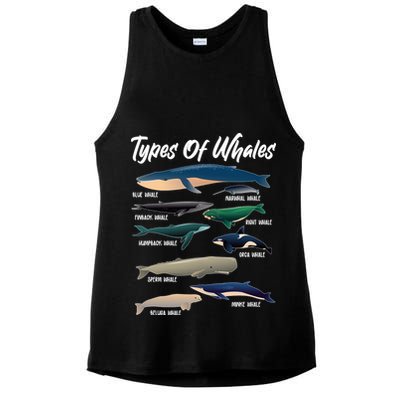 Types Of Whales Ladies PosiCharge Tri-Blend Wicking Tank