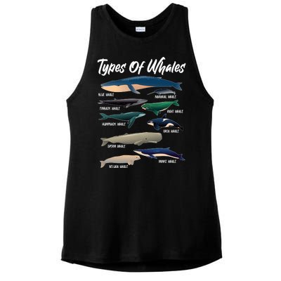 Types Of Whales Ladies PosiCharge Tri-Blend Wicking Tank