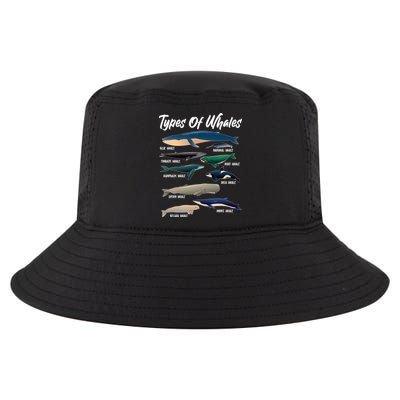 Types Of Whales Cool Comfort Performance Bucket Hat