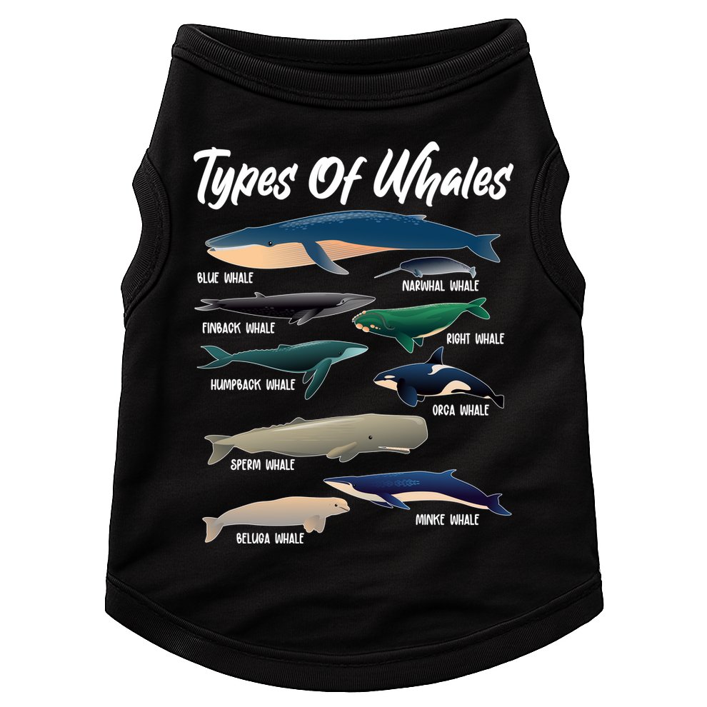 Types Of Whales Doggie Tank