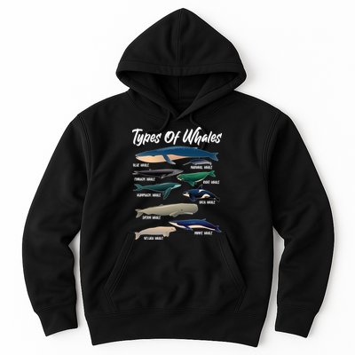Types Of Whales Hoodie