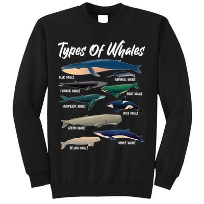 Types Of Whales Sweatshirt
