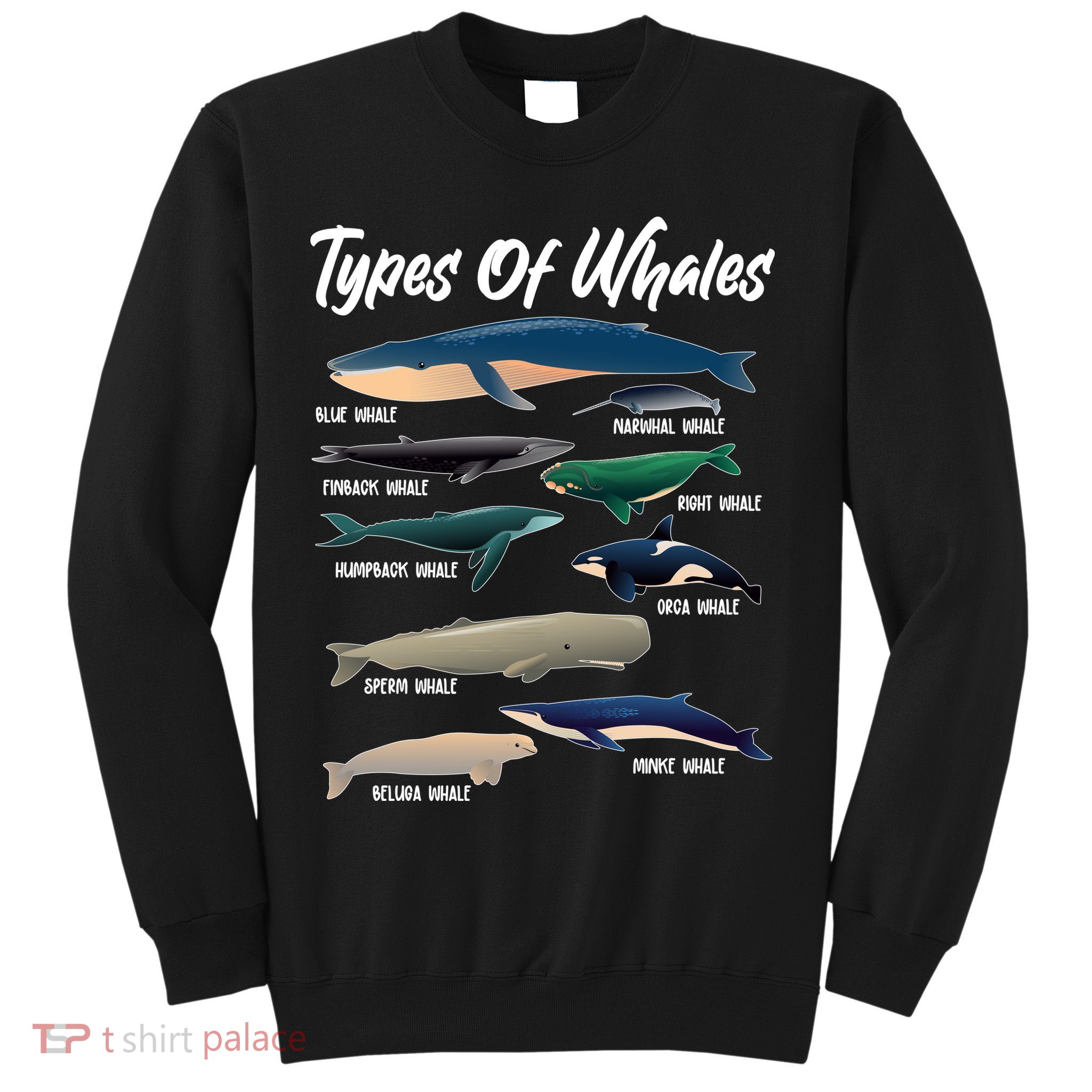 Types Of Whales Sweatshirt