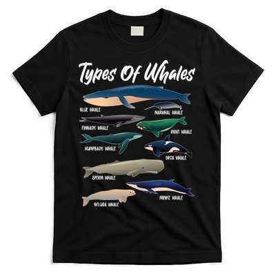 Types Of Whales T-Shirt