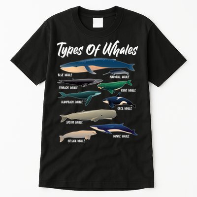 Types Of Whales Tall T-Shirt