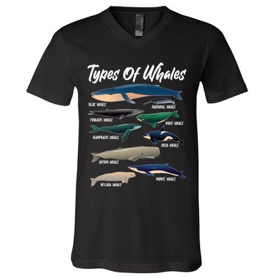 Types Of Whales V-Neck T-Shirt