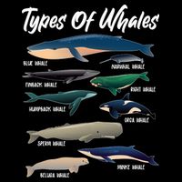 Types Of Whales 7-Panel Snapback Hat