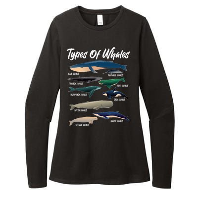 Types Of Whales Womens CVC Long Sleeve Shirt