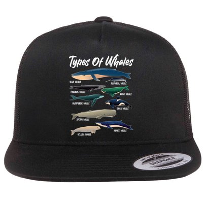 Types Of Whales Flatbill Hat