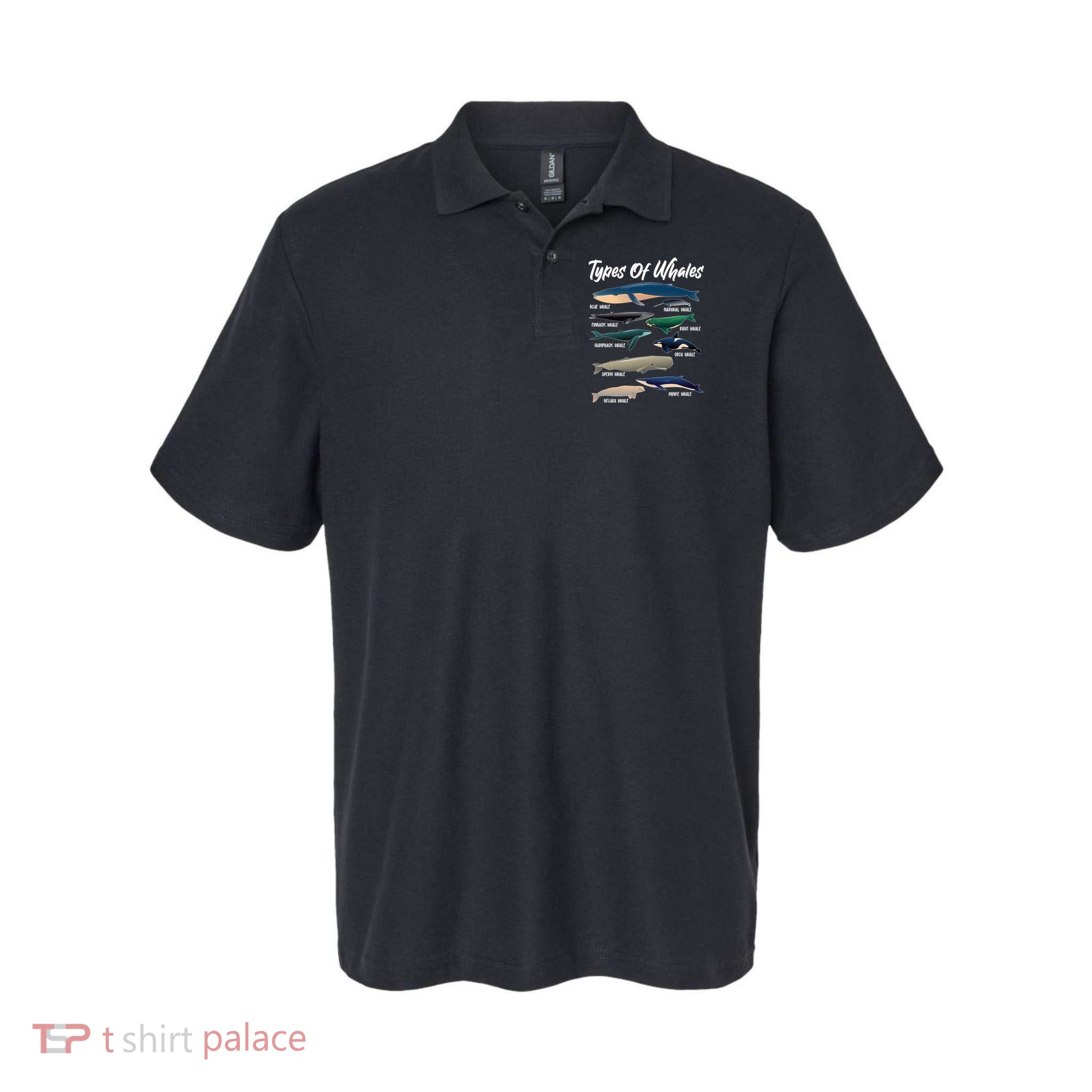 Types Of Whales Polo