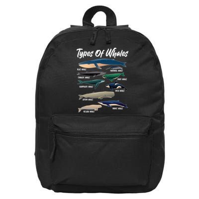 Types Of Whales 16 in Basic Backpack