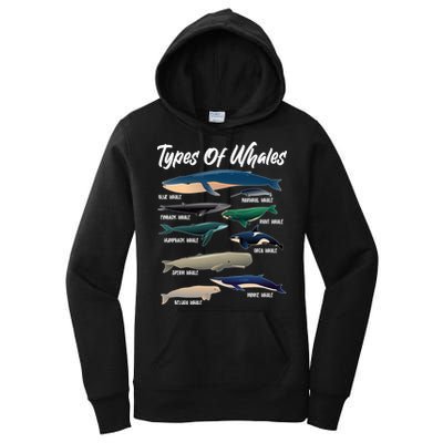 Types Of Whales Women's Pullover Hoodie