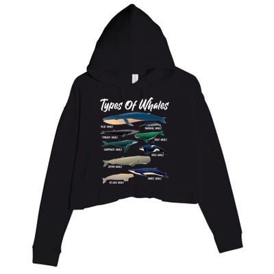 Types Of Whales Crop Fleece Hoodie