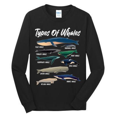 Types Of Whales Tall Long Sleeve T-Shirt