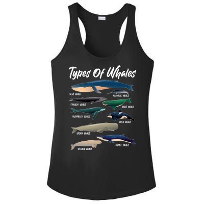 Types Of Whales Ladies PosiCharge Competitor Racerback Tank